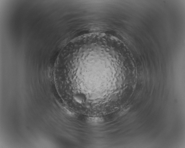 X0000070850281200606161143