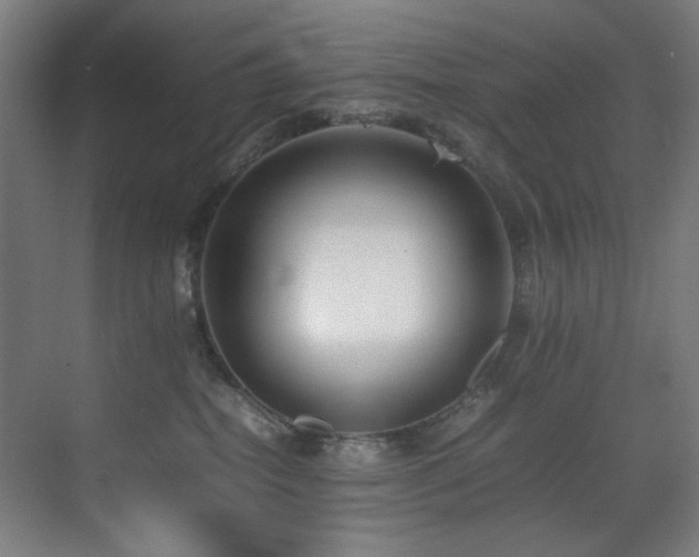 X0000070850282200606161143