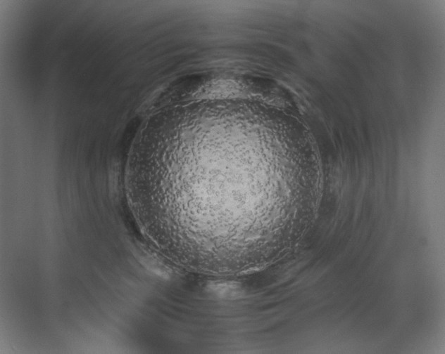 X0000070850283200606161143