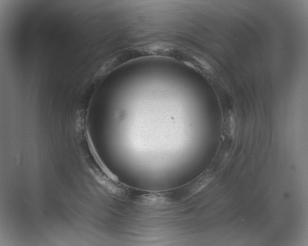 X0000070850284200606161143