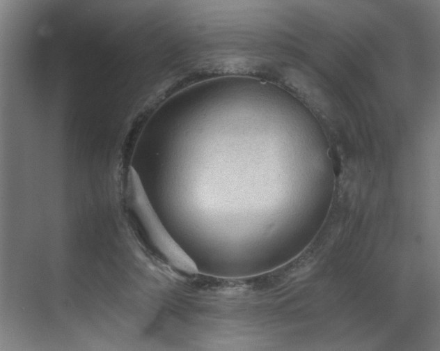 X0000070850306200606161142