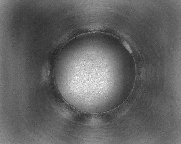 X0000070850308200606161142