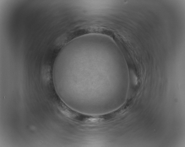 X0000070850323200606161141
