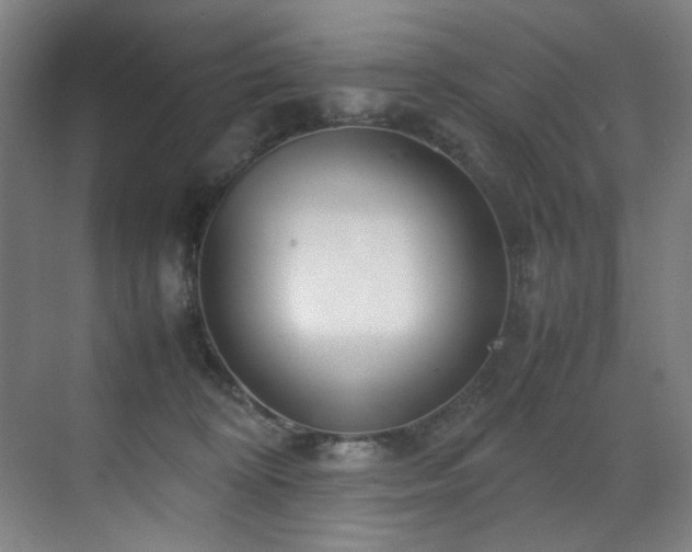 X0000070850324200606161141