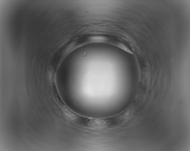X0000070850329200606161141