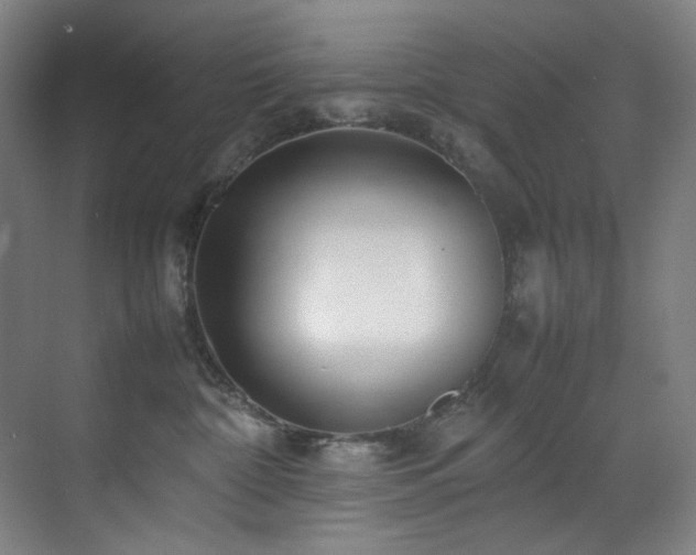 X0000070850332200606161141
