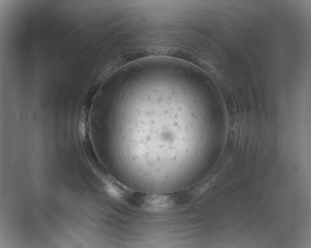X0000070850334200606161141