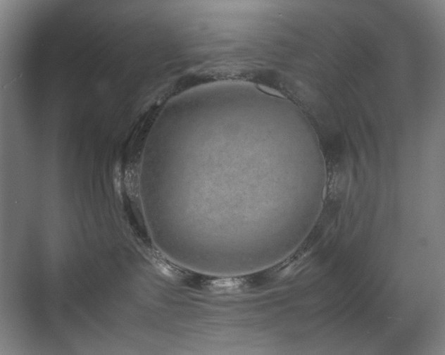 X0000070850335200606161141