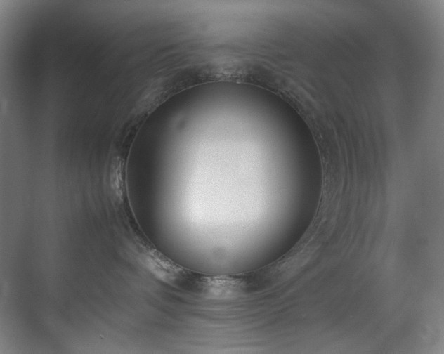 X0000070850336200606161141