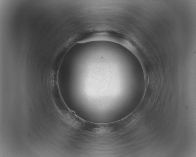 X0000070850356200606161141