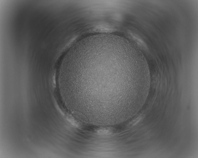 X0000070850358200606161141