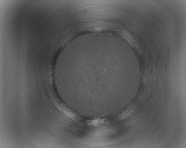 X0000070850366200606161141
