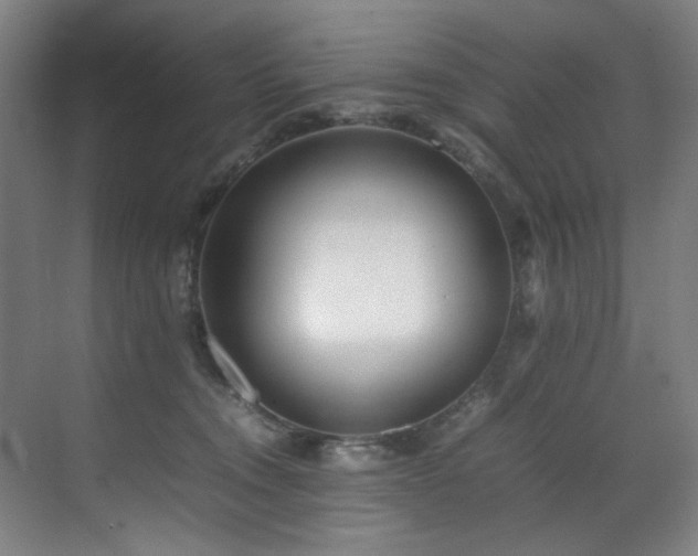 X0000070850372200606161141