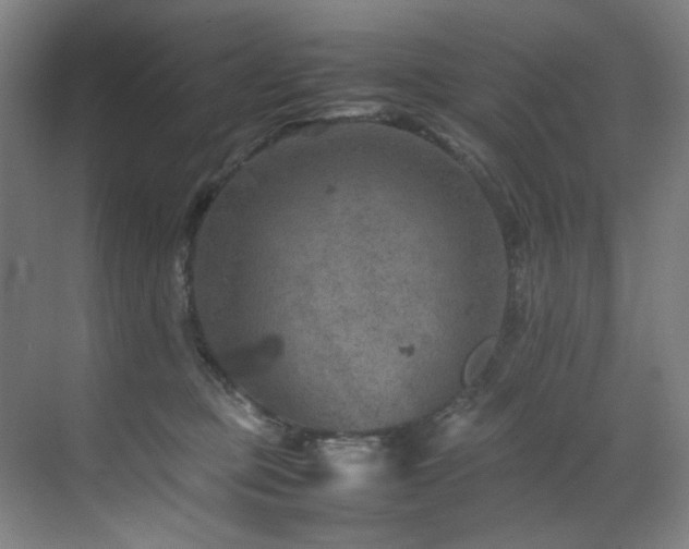 X0000070850373200606161141