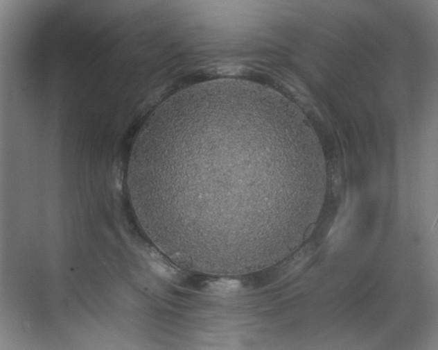 X0000070850374200606161141