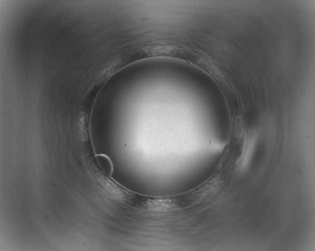 X0000070850378200606161141