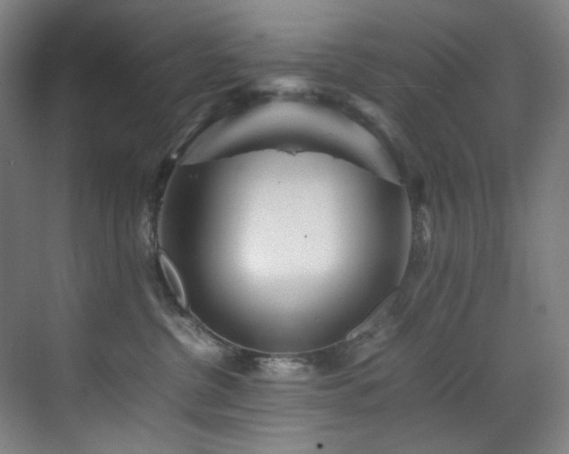 X0000070850380200606161141