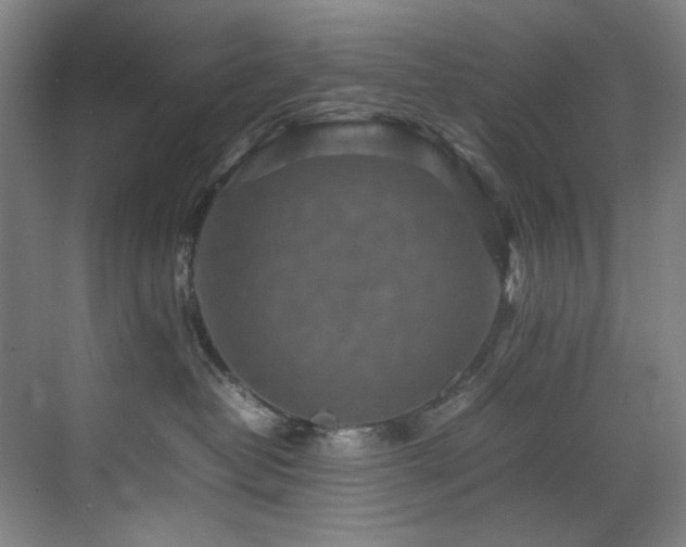 X0000070850382200606161141
