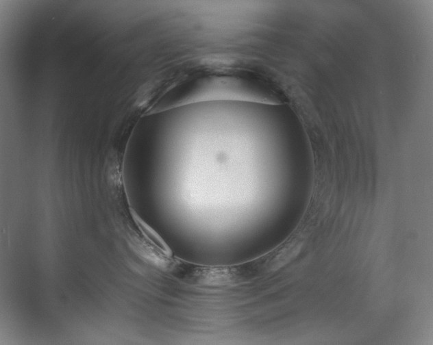 X0000070850384200606161141