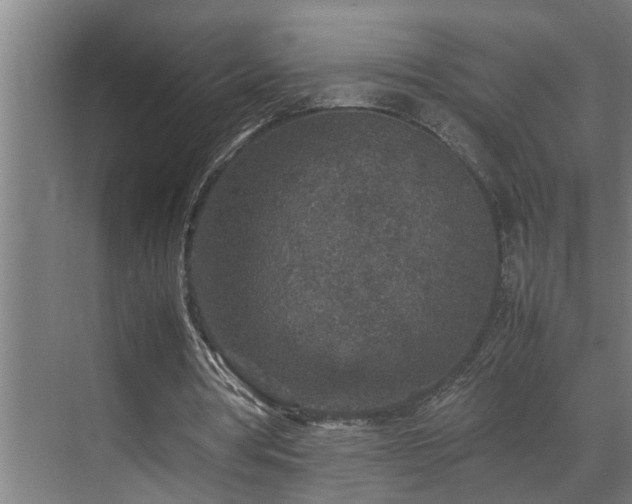 X0000070850386200606161140