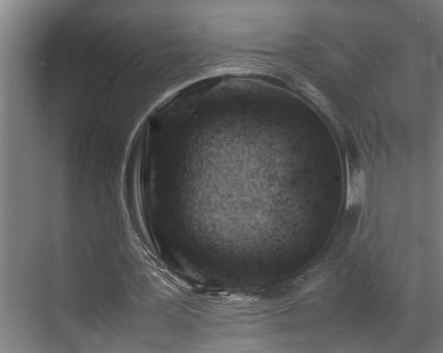 X0000070850387200606161140