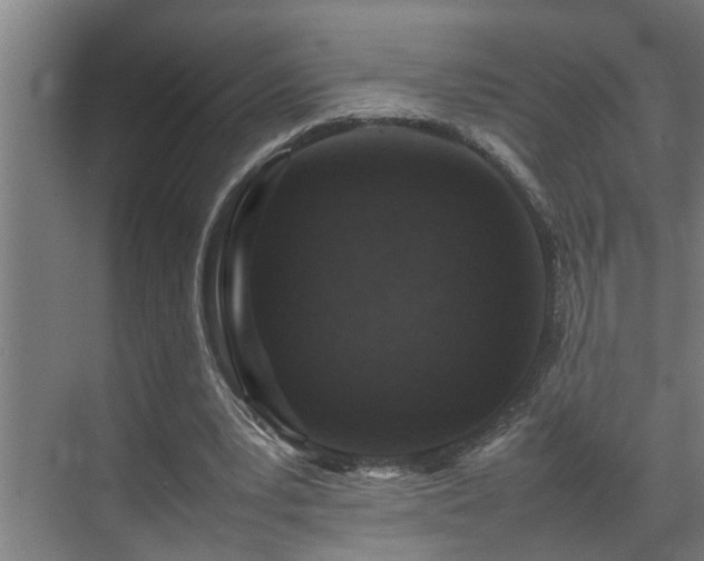 X0000070850391200606161140