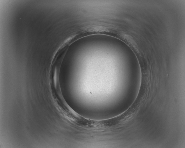 X0000070850395200606161140
