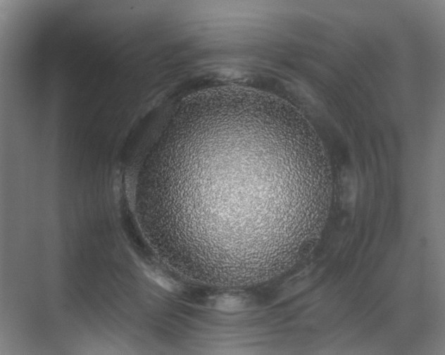 X0000070850412200606161140