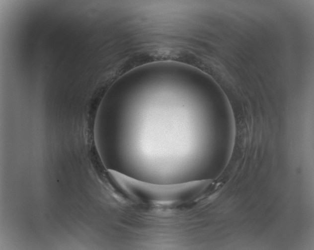 X0000070850416200606161140