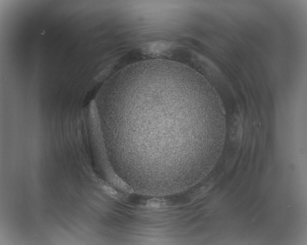 X0000070850420200606161140