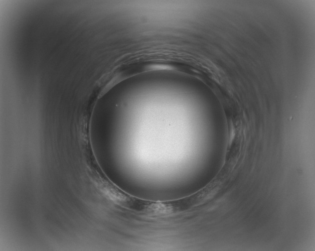 X0000070850421200606161140