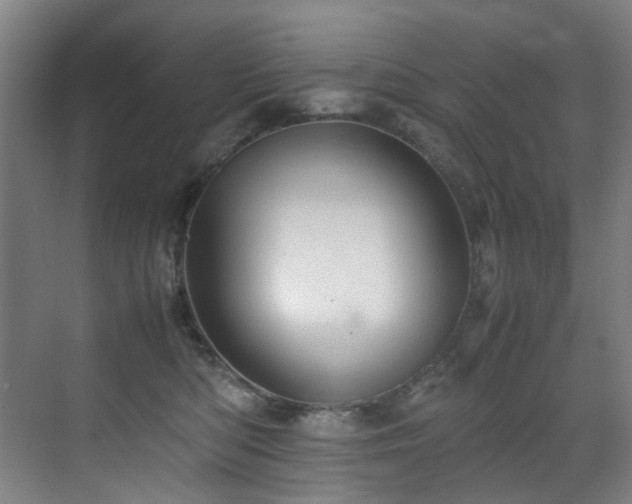 X0000070850422200606161140