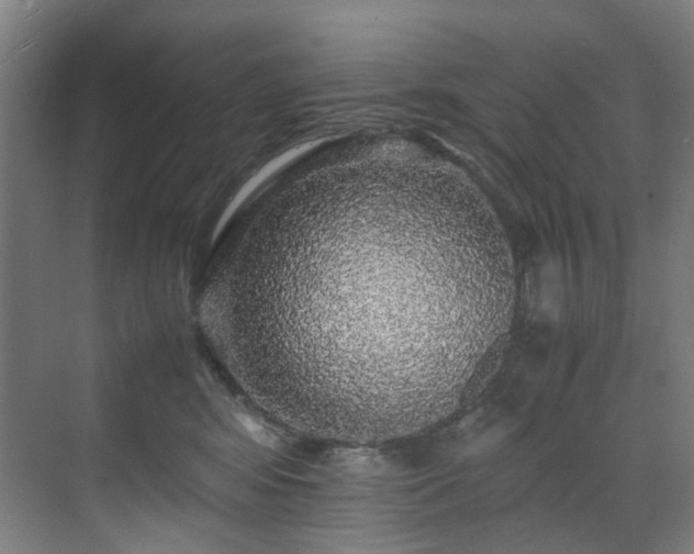 X0000070850424200606161140