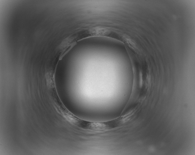 X0000070850429200606161140