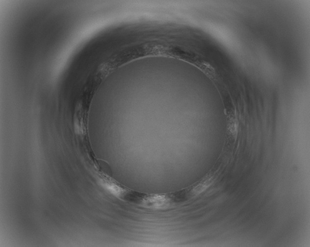 X0000070850431200606161140