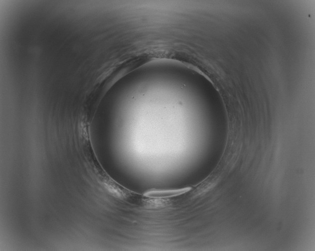 X0000070850432200606161140