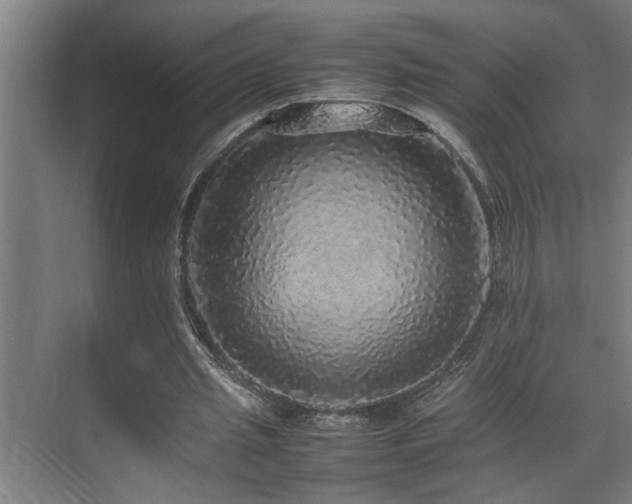 X0000070850437200606161139
