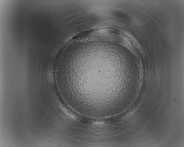 X0000070850441200606161139