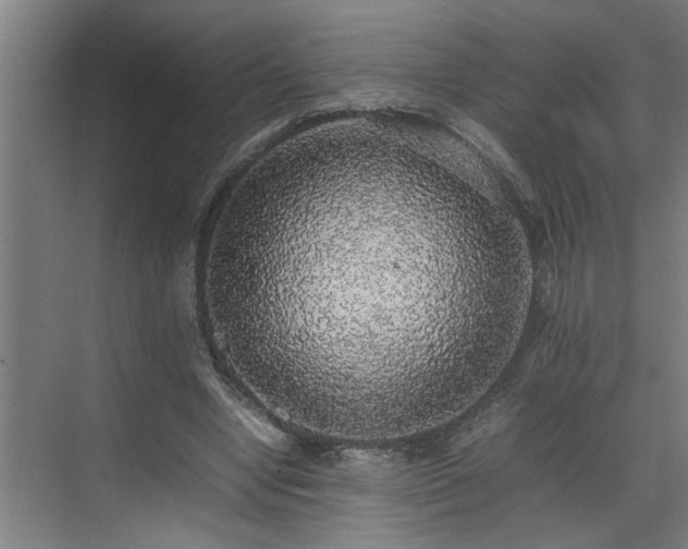 X0000070850442200606161139