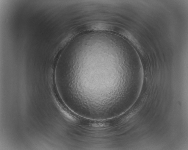 X0000070850445200606161139