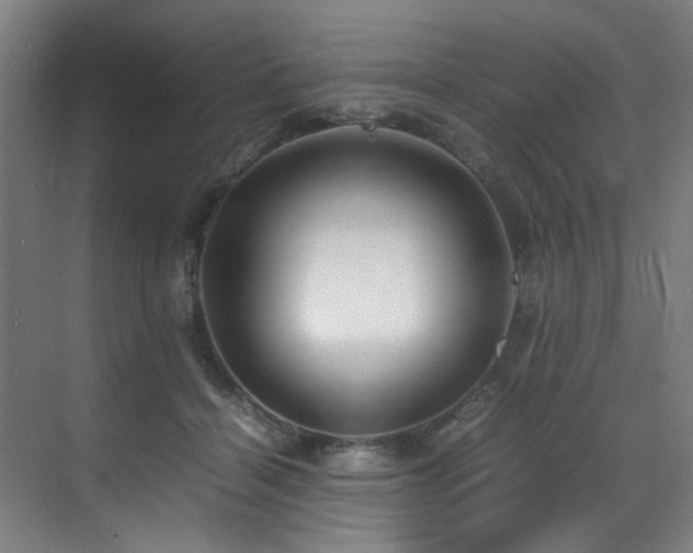 X0000070850460200606161139