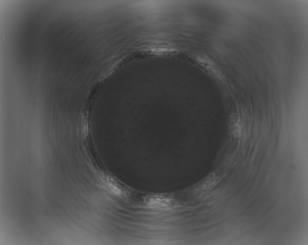 X0000070850471200606161139