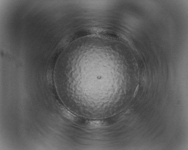 X0000070850473200606161140
