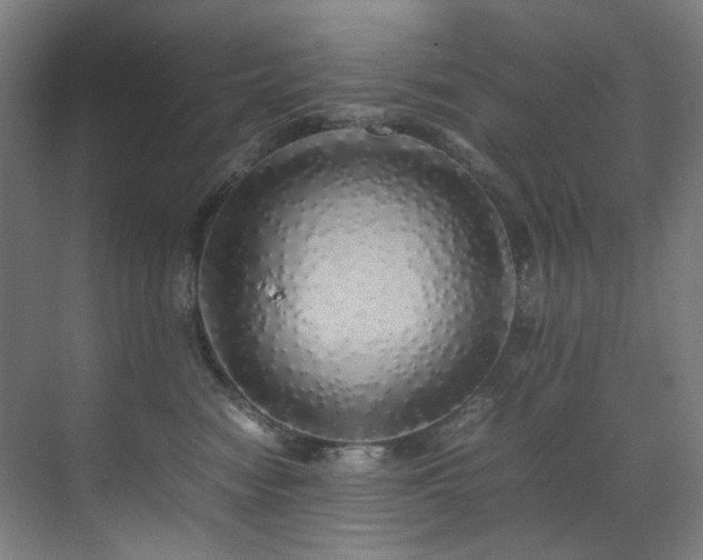 X0000070850474200606161140