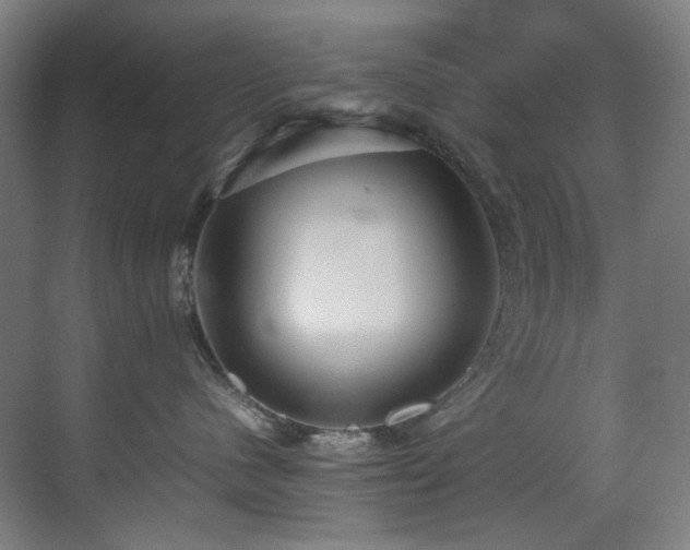 X0000070850480200606161140