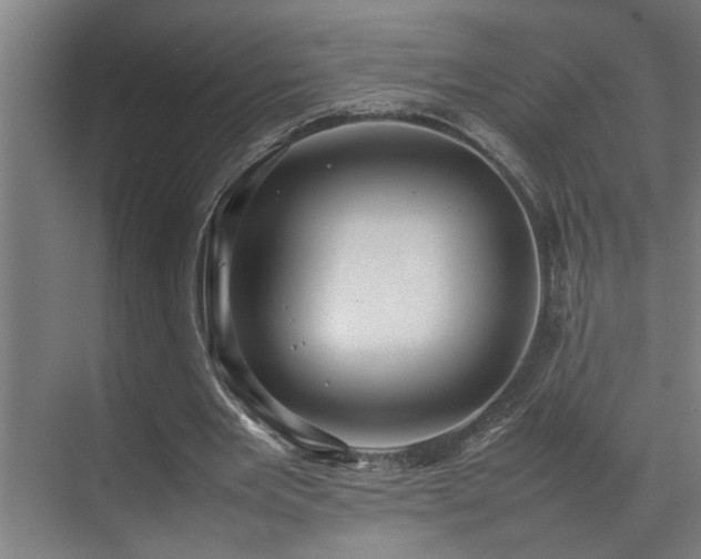 X0000070850485200606161139