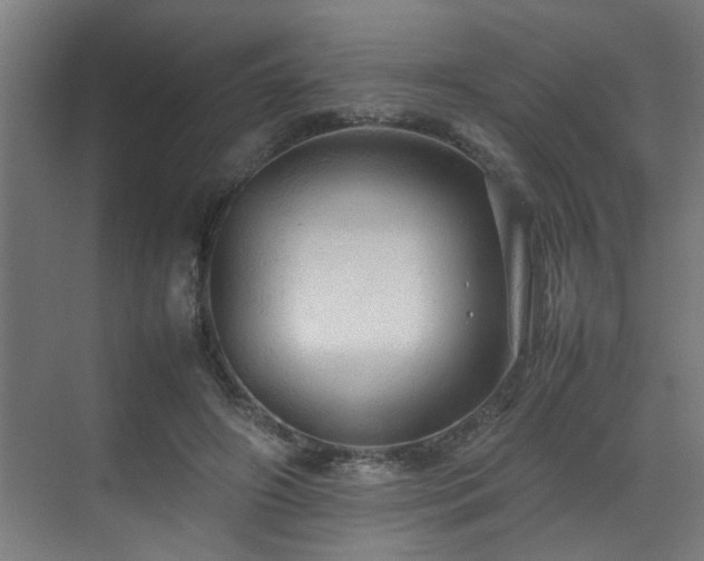 X0000070850498200606161139