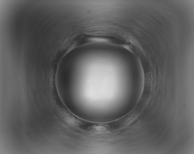X0000070850509200606161138