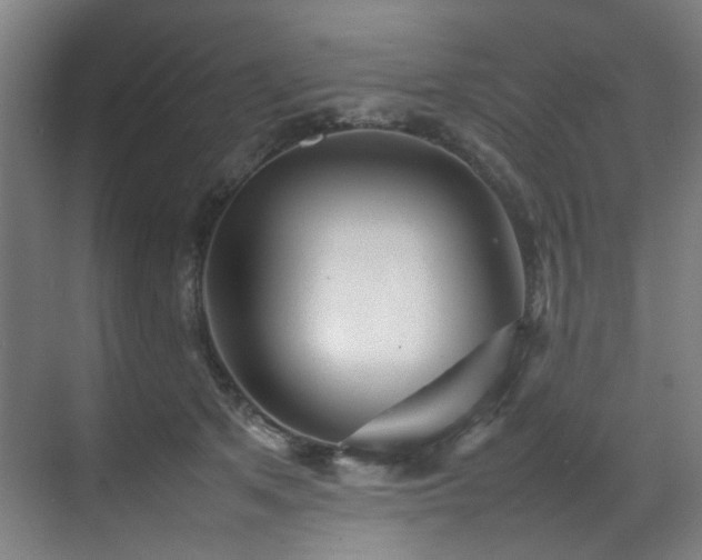 X0000070850513200606161138