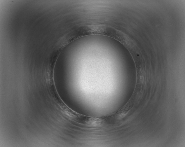 X0000070850514200606161138
